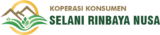 selanirinbayanusa.co.id